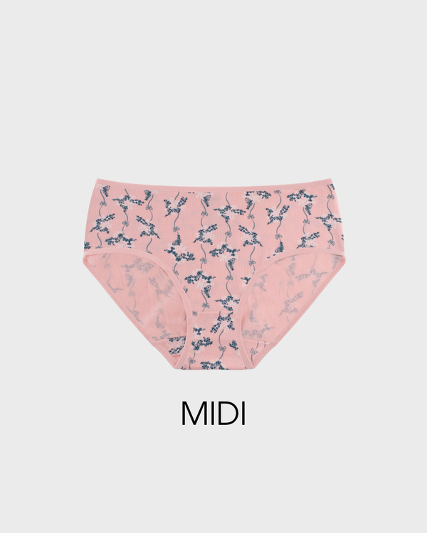 Midi