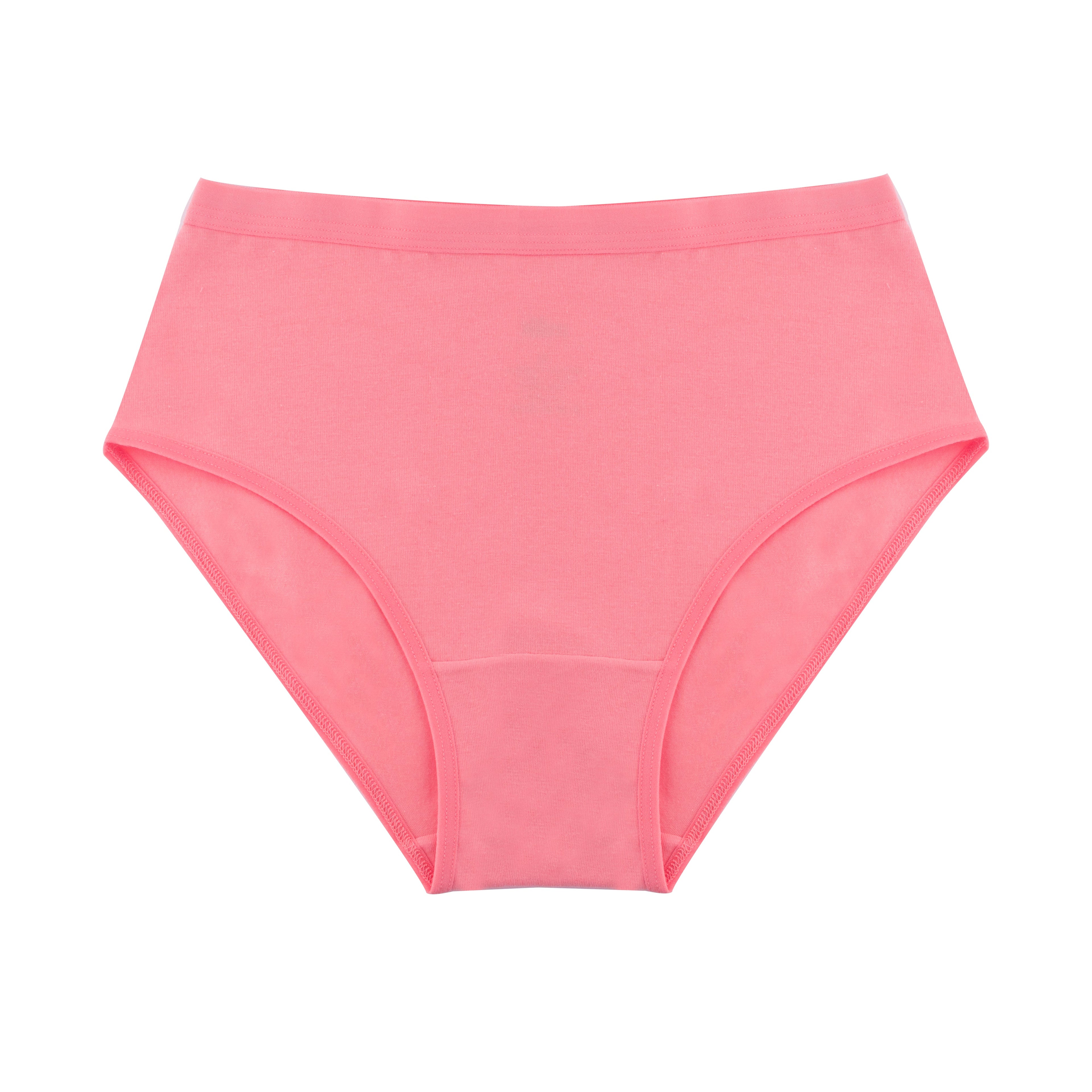 Plain Brief - Pack of 3