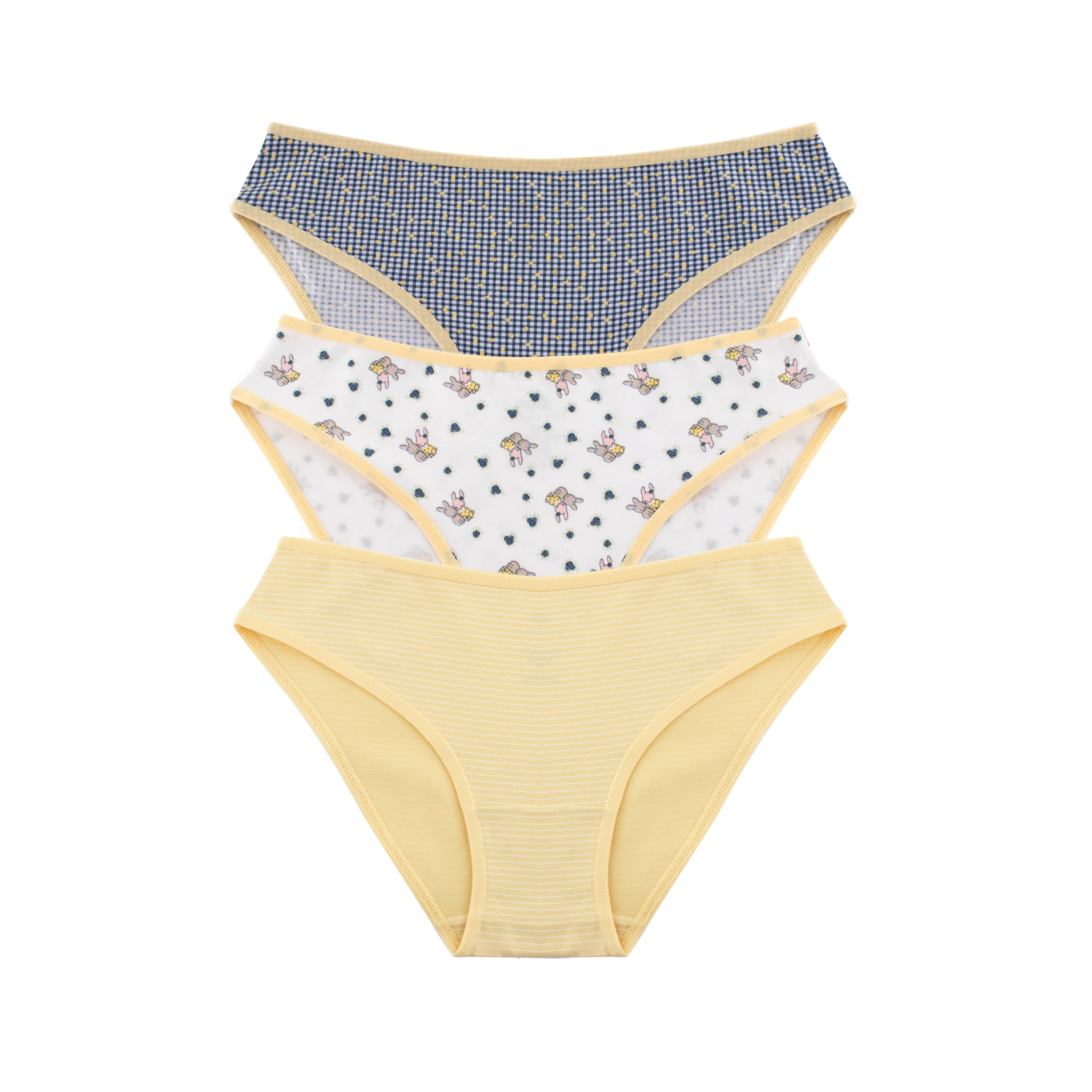 Printed Bikini - Pack of 3